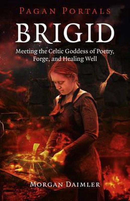 Brigid 9781785353208 Morgan Daimler, Boeken, Taal | Engels, Zo goed als nieuw, Verzenden