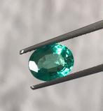 1 pcs Groen Smaragd - 1.40 ct - International Gemological, Nieuw