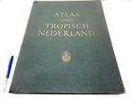 Indonesië / Suriname / - Nederlandse Koloniën begin 20e, Nieuw