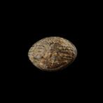Grieks of Romeins Lood Sling Bullet met Scorpion en, Antiek en Kunst
