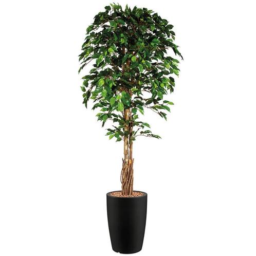 Ficus kunstplant, H210cm, Huis en Inrichting, Kamerplanten, Ophalen of Verzenden