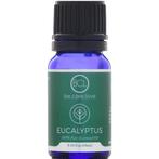 BCL SPA  Eucalyptus Essential Oil  10 ml, Sieraden, Tassen en Uiterlijk, Nieuw, Verzenden