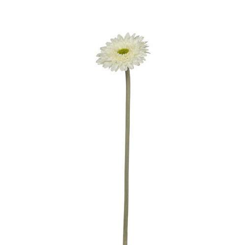 Gerbera Spicky 34 cm Ivoorwit Gerbera, Huis en Inrichting, Woonaccessoires | Kunstplanten en Kunstbloemen, Nieuw, Ophalen of Verzenden