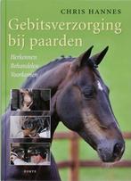 Gebitsverzorging Bij Paarden 9789058777379 C. Hannes, Boeken, Dieren en Huisdieren, Gelezen, C. Hannes, Verzenden