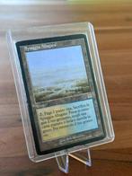 Wizards of The Coast - 1 Card - Magic: The Gathering -, Nieuw