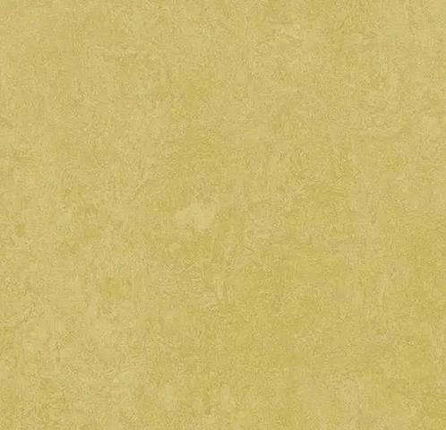Forbo Marmoleum Fresco 3259 mustard, Huis en Inrichting, Stoffering | Vloerbedekking, Verzenden