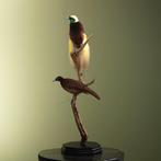 Paradijsvogel Taxidermie volledige montage - Paradisaea, Nieuw