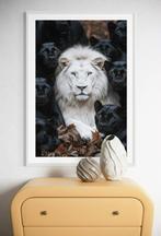 Rudy barret - White King - XL