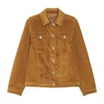 Pennyblack • corduroy jasje Hardy • 36 (IT42), Verzenden, Geel, Nieuw, Pennyblack