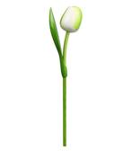 Houten tulp op steel 34 cm White green, Ophalen of Verzenden, Nieuw