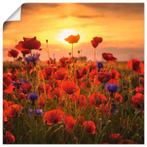 Artland Artprint Klaprozen in het avondlicht als, Huis en Inrichting, Woonaccessoires | Schilderijen, Tekeningen en Foto's, Verzenden