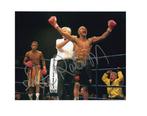 Box: Steve Robinson - WBO Champion (1993-1995), Verzamelen, Overige Verzamelen, Nieuw