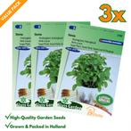 Stevia Honingplant Honingkruid Zaden: Kweek Zoete,, Tuin en Terras, Verzenden