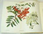 William Bertram Turrill - Curtiss Botanical Magazine;