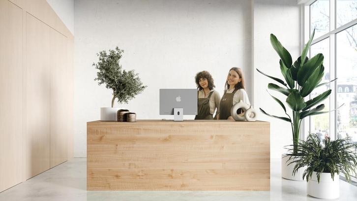 Toonbank TONNY 4 | 240x80cm | Houtlook licht eiken, Zakelijke goederen, Kantoor en Winkelinrichting | Winkel en Inventaris, Verzenden