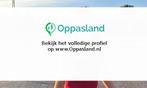 Ik ben alicia en ik zoek oppaswerk in Leeuwarden., Diensten en Vakmensen, Dieren | Paarden | Verzorging, Oppas en Les