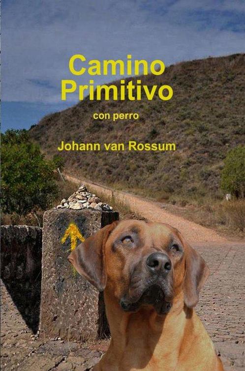 9789402196290 Camino Primitivo Johann van Rossum, Boeken, Romans, Nieuw, Verzenden