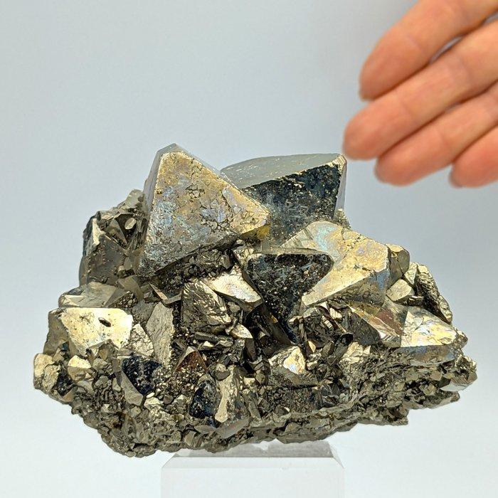Goudkleurige pyriet, ottaedrische kristallen, PERU, Verzamelen, Mineralen en Fossielen