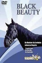 Black Beauty - Kuckies  DVD, Gebruikt, Verzenden