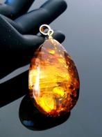 Baltic Amber - Hanger, Verzamelen, Mineralen en Fossielen