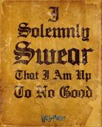 Poster Harry Potter I Solemnly Swear 40x50cm, Verzamelen, Posters, Verzenden, Nieuw, A1 t/m A3