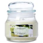 Colonial Candle - Classic - Green Tea Macaron - soja, Verzenden, Nieuw