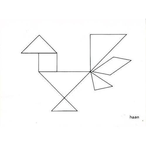 Tangram voorbeeldkaarten 5, Boeken, Schoolboeken, Nieuw, Verzenden