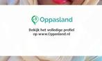 Awatif zoekt een oppas in Roermond voor 2 kinderen voor 7..., Vacatures