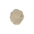 Fairy Stone of Fee Steen 4-6 cm, Verzamelen, Mineralen en Fossielen, Verzenden