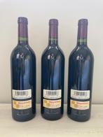 2000 Bodegas y Viñedos Alion - Ribera del Duero - 3 Flessen, Verzamelen, Nieuw