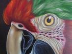 Iwona Przybylska - Scruffy, Antiek en Kunst, Kunst | Schilderijen | Modern