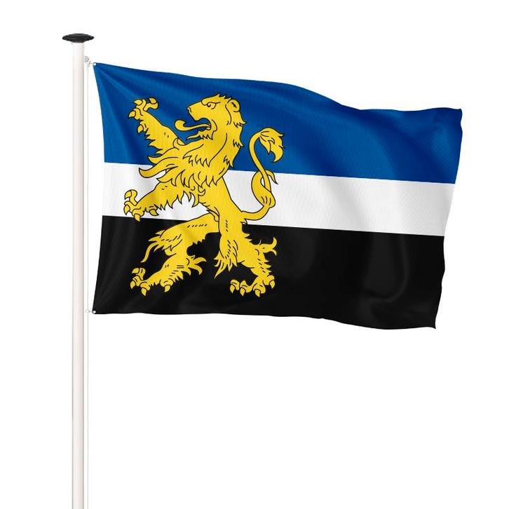Vlag Hilvarenbeek 150x225cm (voor masten 6 en 7 meter), Diversen, Vlaggen en Wimpels, Nieuw