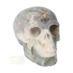 Mosagaat schedel 1047 gram, Verzenden, Nieuw