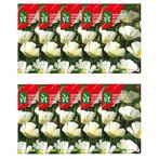 Bloemzaden slaapmutsje | VT | 10 stuks (Wit), Tuin en Terras, Bloembollen en Zaden, Verzenden