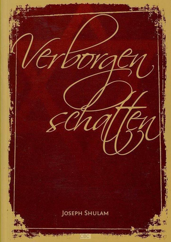 Verborgen schatten 9789073895256 J. Shulam, Boeken, Politiek en Maatschappij, Gelezen, Verzenden