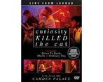 Curiosity Killed The Cat · Live From London, Cd's en Dvd's, Dvd's | Muziek en Concerten, Verzenden, Nieuw in verpakking
