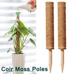 Mosstok kokosstok planten totem 50 cm / stuk opbinden van, Ophalen of Verzenden, Nieuw
