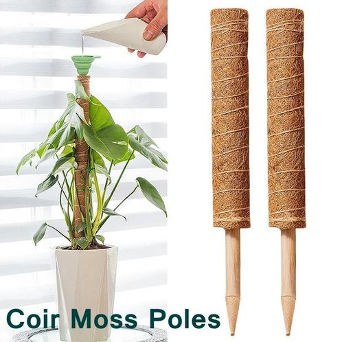 Mosstok kokosstok planten totem 50 cm / stuk opbinden van, Huis en Inrichting, Woonaccessoires | Kunstplanten en Kunstbloemen