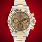 Rolex - Cosmograph Daytona - 116503 - Heren - 2000-2010, Nieuw