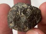 Chondriet NWA 869 - 32.1 g - (1)