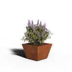 Cortenstaal Plantenbak Taps | Gelast | 60 x 60 x 40, Tuin en Terras, Verzenden, Nieuw
