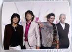 Massimo Barbaglia - Rolling Stones 2006, Antiek en Kunst