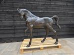 Beeld, XL Bronze: Horse - 104 cm - Brons - 2026