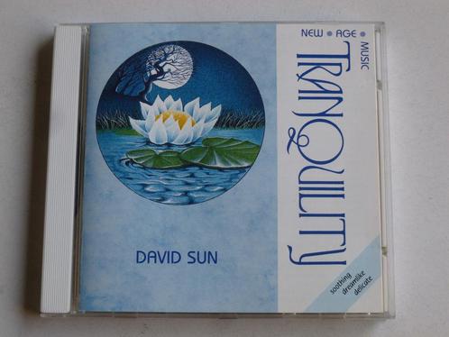 David Sun - Tranquility (new age music), Cd's en Dvd's, Cd's | Meditatie en Spiritualiteit, Verzenden