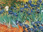 Kunstdruk Vincent Van Gogh - Iris 80x60cm, Verzenden, Nieuw