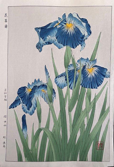 Flowers series: Iris “ Hanashbu” - NO RESERVE - Shodo, Antiek en Kunst, Antiek | Overige Antiek