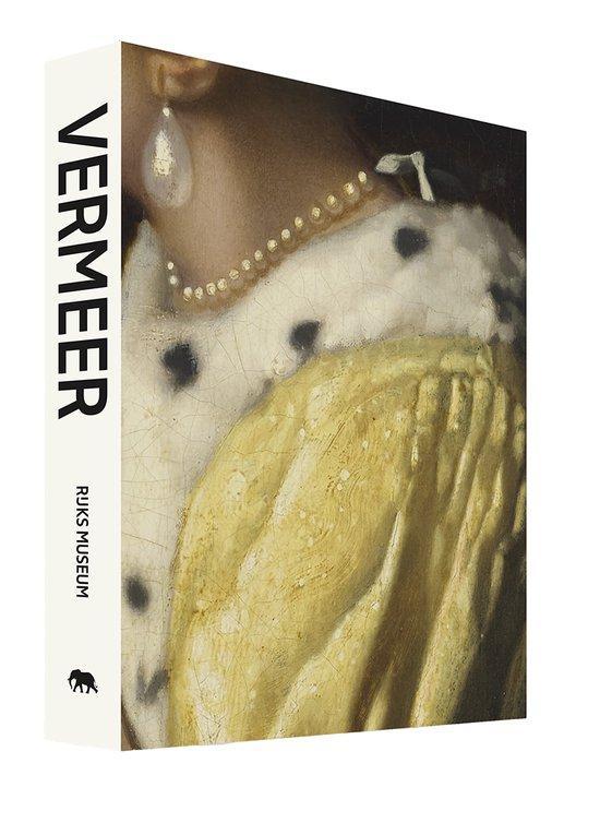 Vermeer 9789464666151 Pieter Roelofs, Boeken, Kunst en Cultuur | Beeldend, Gelezen, Verzenden