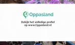 Eva zoekt een oppas in Groningen.