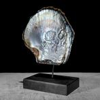 Intricately carved parelmoer schelp - menselijk, Antiek en Kunst