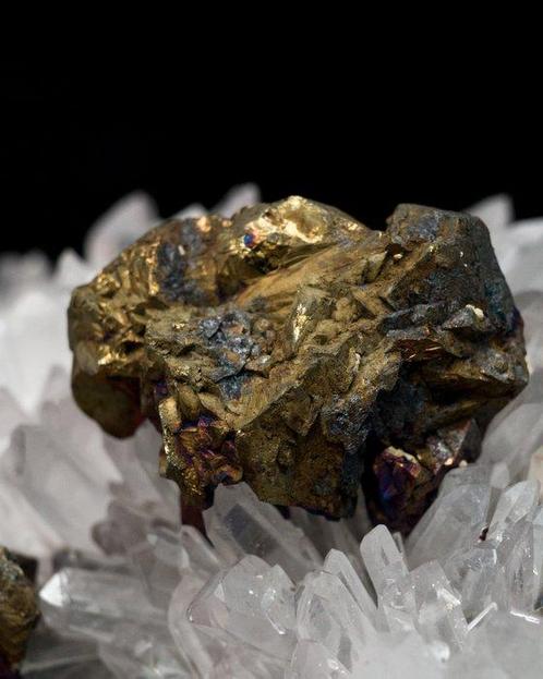 ZEER FIJNE CHALCOPYRIET op NAALDKWARTS matrix - Hoogte: 12.2, Verzamelen, Mineralen en Fossielen